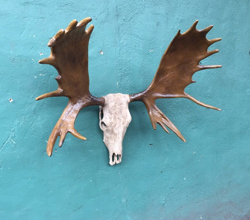 Animales Disecados 100% Artificiales Cornamenta De Alce
