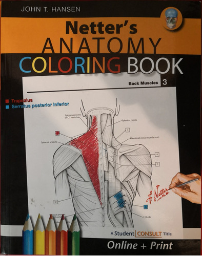 Netter's Anatomy Coloring Book