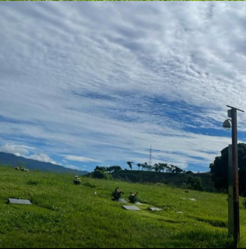 Cementerio Del Este