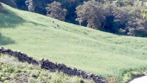 Bella Finca En El Valle