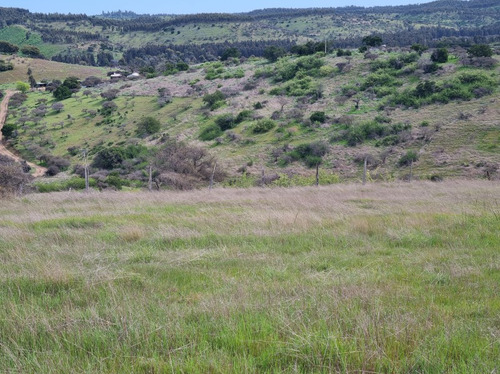 En Venta 2 Hectáreas En El Convento, Comuna De Santo Domingo