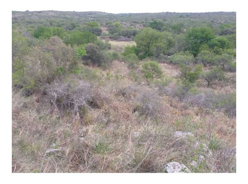 Imagen 3 de 8 de Vendo Lote En San Nicolas