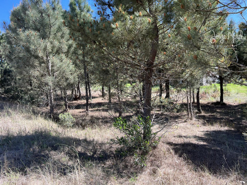 Lote Venta Barrio Costa Esmeralda - Golf 2 - 1180m2 #id 11473