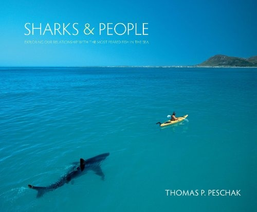 Sharks And People Exploring Our Relationship With The Most F