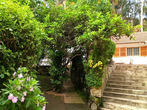 Arriendo Amplio Chalet Ubicado En Miraflores Bajo
