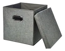 Comprar Amazonbasics - Cubo De Almacenamiento Plegable Con Tapa 2 U