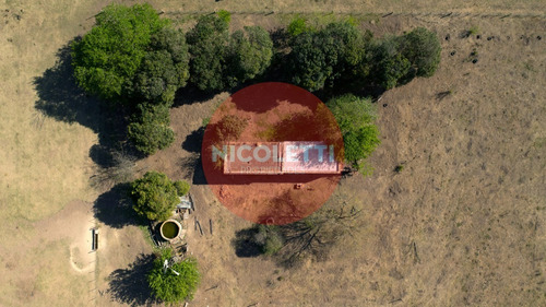 Imagen 13 de 21 de Campo - Chacra De 13,7 Has | Gowland | Mercedes