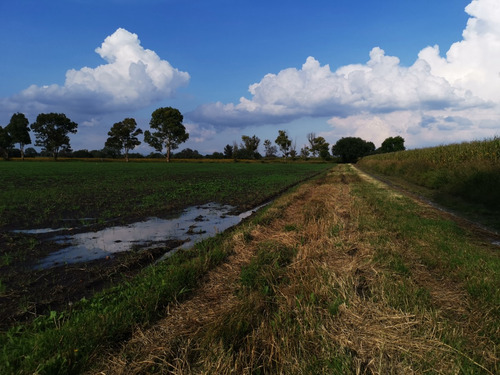 Remate De Fabuloso Lote Para Agricultura, Invernaderos, Rancho O Casas De Descanso. Luz, Agua Y Aire Puro A Tu Disposición.