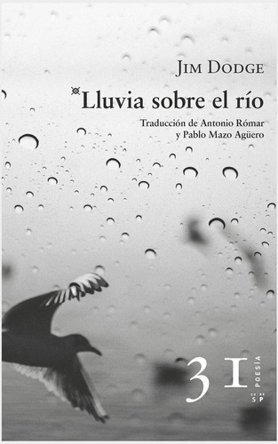 Lluvia sobre el río, de Dodge, Jim. Editorial Salto de Página, tapa blanda en español, 2019