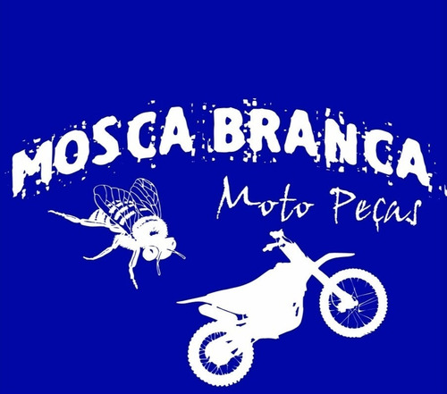 Pneu Traseiro Yamaha Xt660 Xt600 130/80-17 Tr300 Vipal
