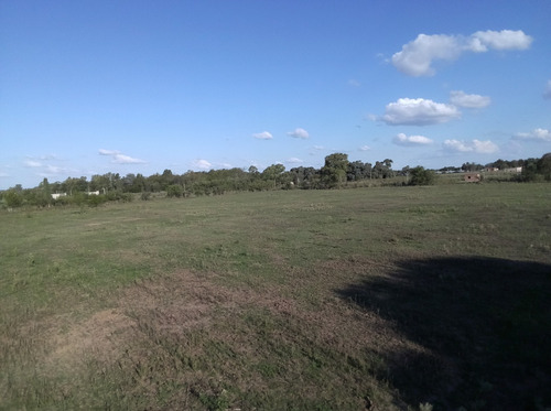 Venta De Chacra En Carmen De Areco 20000m2