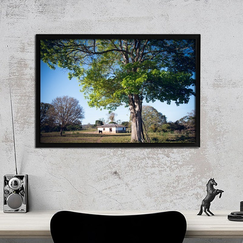 Quadro Fotográfico Fazenda 52x37cm C/ Vidro E Moldura