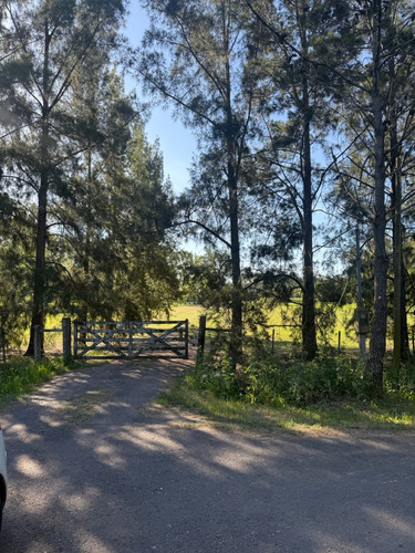 Quinta - Lisandro Olmos Etcheverry
