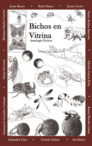 Bichos En Vitrina, De Andrea Montiel., Vol. No. Editorial Trajín, Tapa Blanda En Español, 1