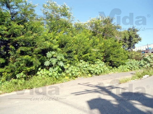 Imagem 7 de 15 de Terreno Para Venda, 15147.0m² - 30313