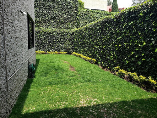 Imagen 13 de 14 de Casa En Renta En Paseo De Las Lomas Santa Fe