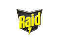 Raid