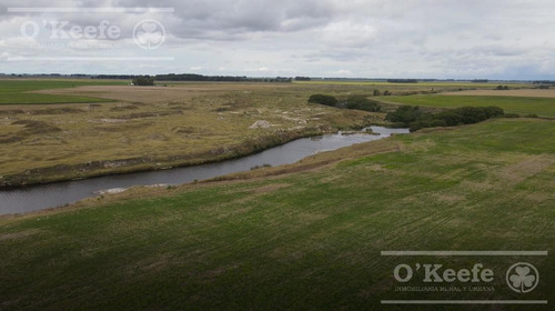 Imagen 7 de 15 de Campo Mixto 330 Has A 80km Del Puerto De Necochea- San Cayetano