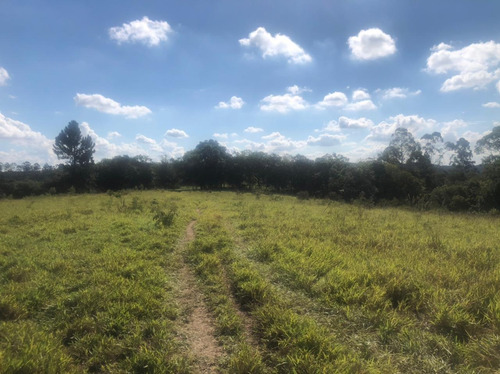 Imagem 1 de 1 de Mairinque/mato Dentro 1000m2
