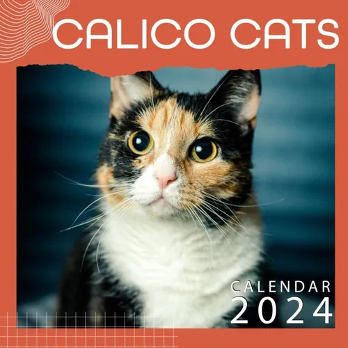 Livro Calendário Calico Cats 2024 Calico Cats Calendar 20
