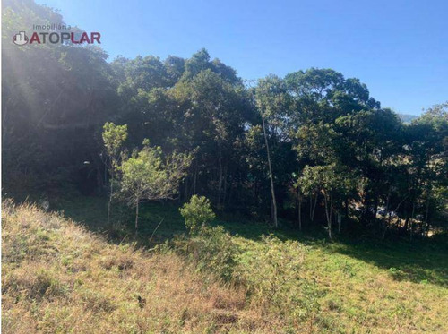 Imagem 10 de 17 de Terreno Em Área Rural À Venda, 25000 M² Por R$ 600.000 - Braço De Camboriú - Camboriú/sc - Te0126