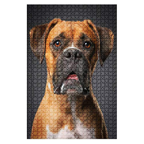1000 Pieces Wooden Jigsaw Puzzle Boxer Dog Dog Portrait Stoc