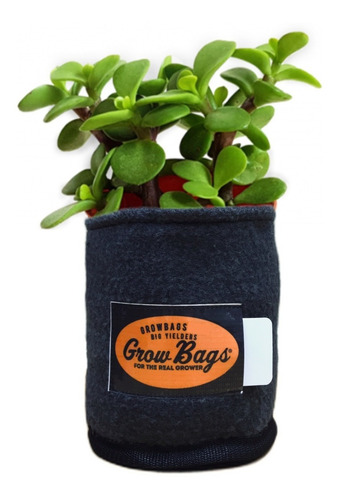 Imagen 7 de 10 de Mejor Maceta Tipo Smartpot Geotextil 3 Litros