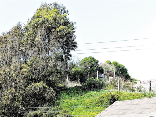 Terreno Construccion En Venta En Playa. Amarilla -concón