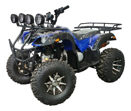 Cuatrimoto 200cc Automatica Aro 10 Todo Terreno