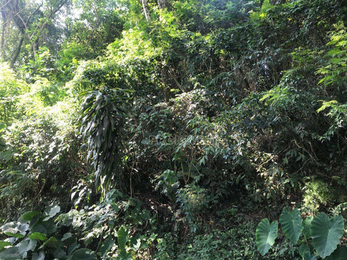 Imagem 3 de 5 de Granja Viana Terreno - Te9080
