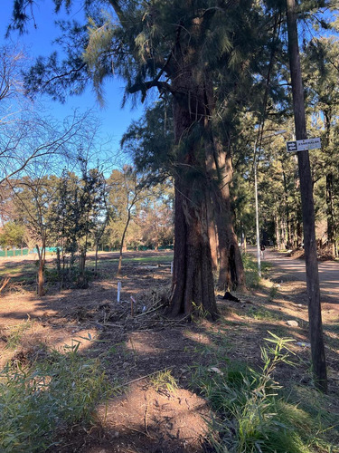 Nuevo Desarrollo | Lotes En Barrio Abierto | Yei Porá | Oportunidad Preventa
