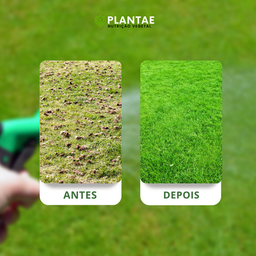 Adubo 10 10 10 5kg Floração Contínua Para Frutíferas E Flore