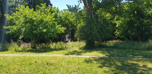 Imagen 4 de 5 de Venta Fraccion De 13633m2, La Lonja, Pilar