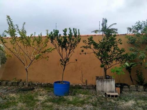 Imagem 11 de 13 de Linda Chácara No Bairro Chácaras Cibratel, Em Itanhaém, 7961