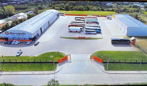 Imagen 6 de 6 de Acrílico Salida De Emergencia Omnibus Marcopolo (outlet)