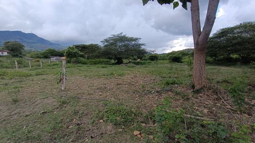 Leandro Araque Inzitu Realtors Vende Terreno Agrosturistico Con Oportunidad De Inversión Única En Nirgua Yaracuy Transforma Tu Sueño En Realidad