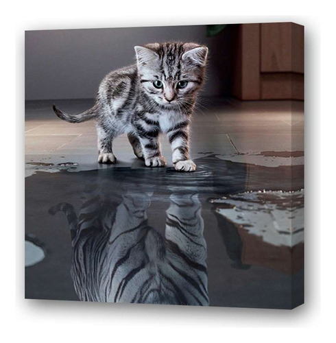 Cuadro 45x45cm Gato 14 Gato Bebe Reflejo Agua