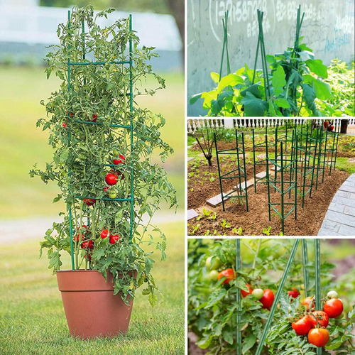 Jaula De Soporte Para Plantas De Tomate Para Jardin De 4 ...