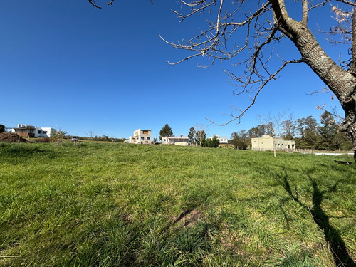 Terreno En Ph En Venta. La Pedrera, Tandil, Cerro Leones
