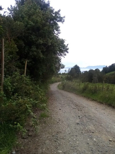 Parcela En Venta En Lago Ranco
