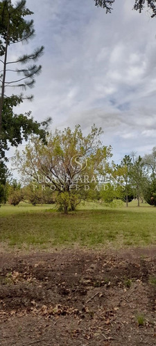 Terreno Lote En Venta En El Cardal, Campana, G.b.a. Zona Norte