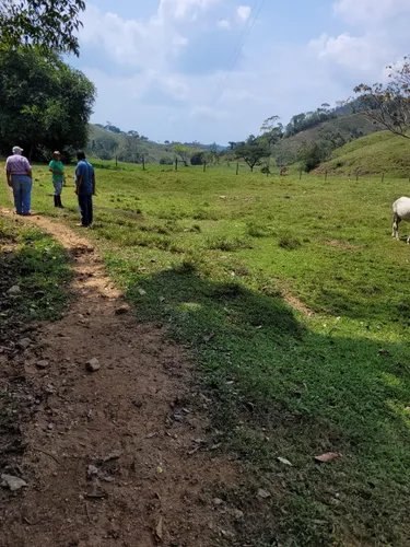 Se Vende Finca Ganadera En Doradal