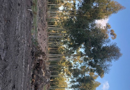 Oportunidad Terreno En Chacras Del Pinar La Colina 1000 Mts.