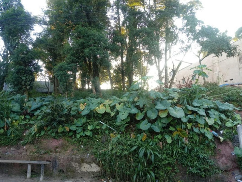 Terreno À Venda, 270 M² - Jardim Da Represa - São Bernardo Do Campo/sp - Te4295