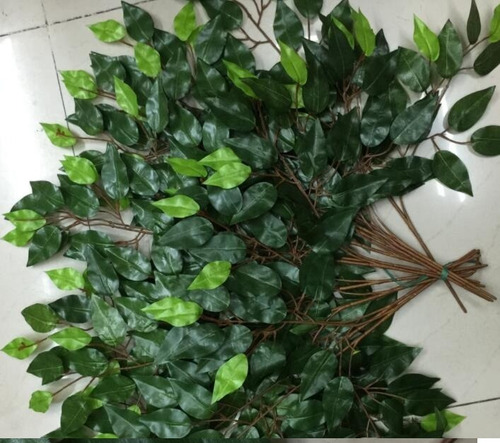 Set 12 Hojas Ramas Artificial Verde Follaje Ficus - 5 Packs