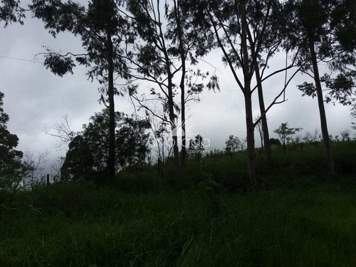 Imagem 5 de 5 de Terreno, Bairro Da Ponte, Itatiba, Cod: Ai017 - Vai017