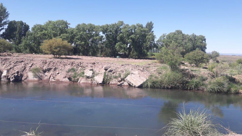 Imagen 11 de 20 de Campo En Venta 400 Ha - Colonia Elena- San Rafael - Mendoza