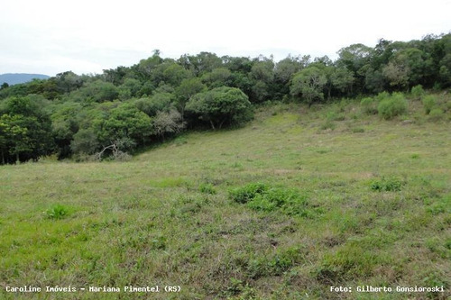 Imagem 14 de 15 de Sítio / Chácara Para Venda Em Mariana Pimentel, Linha Preta - Mariana Pimentel - 1256_1-542909