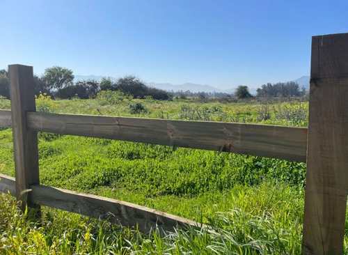 Parcelas Hacienda Los Viñedos Casablanca