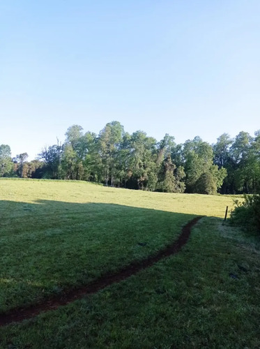 Venta Hermosa Parcela En Sector Rofuco Alto, La Unión
